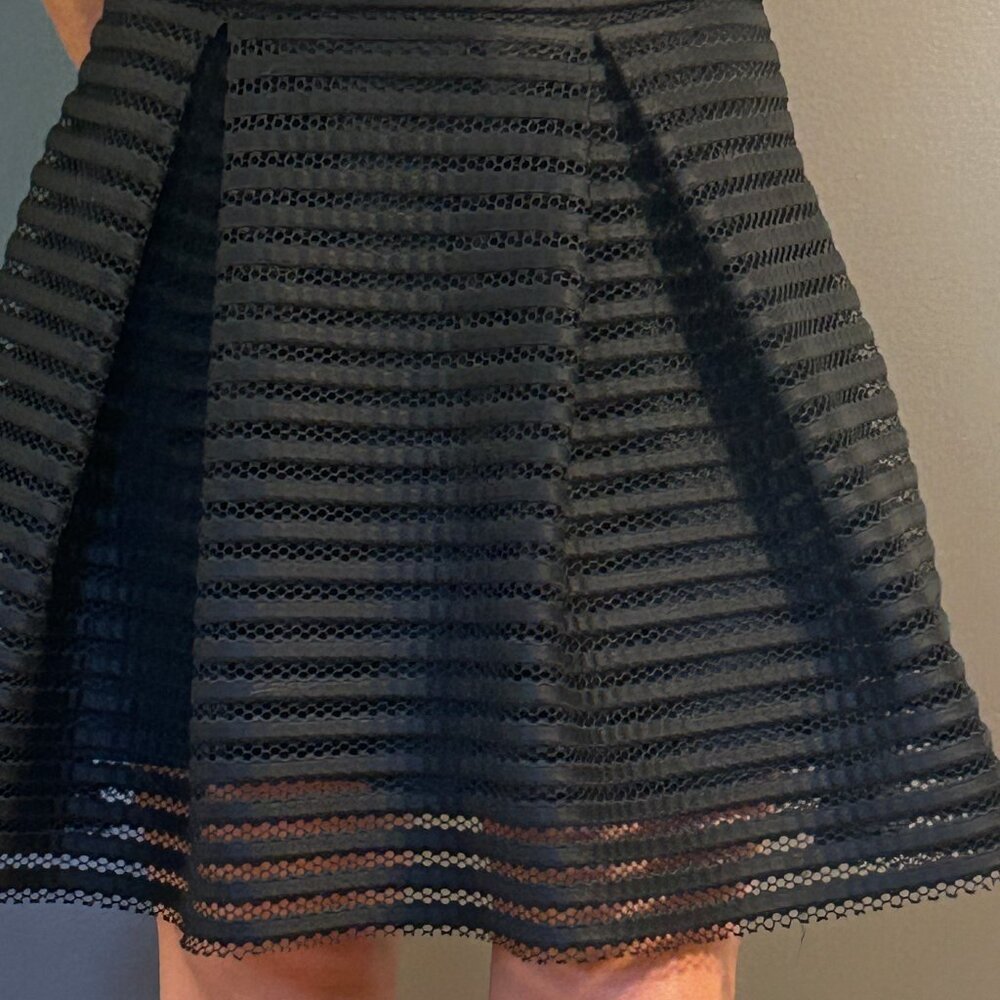 Express skirt